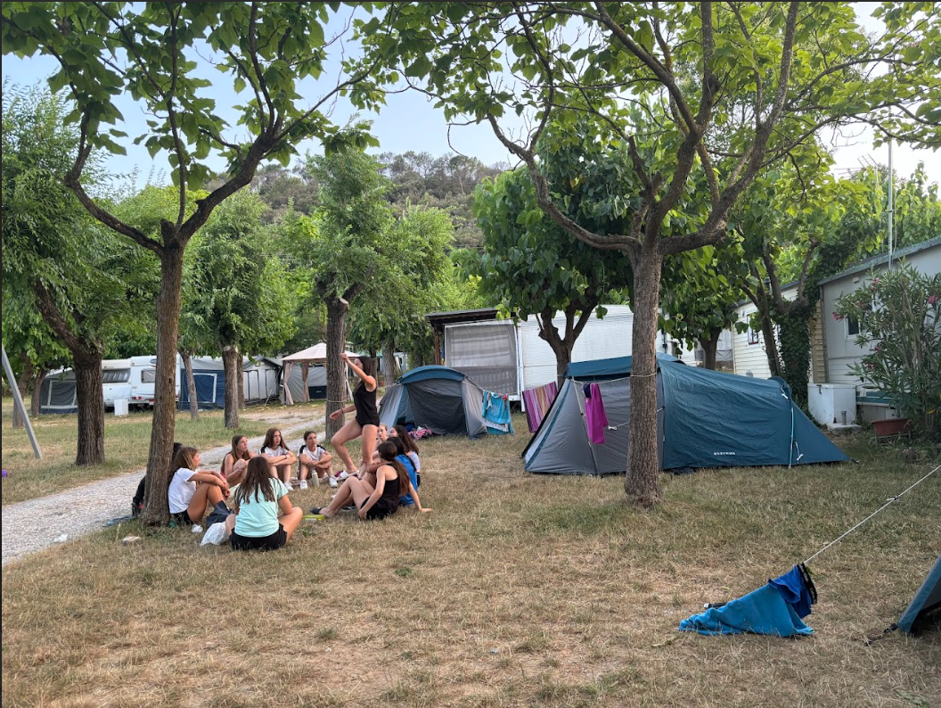 Curs de Premonitoratge d'Activitats Poliesportives