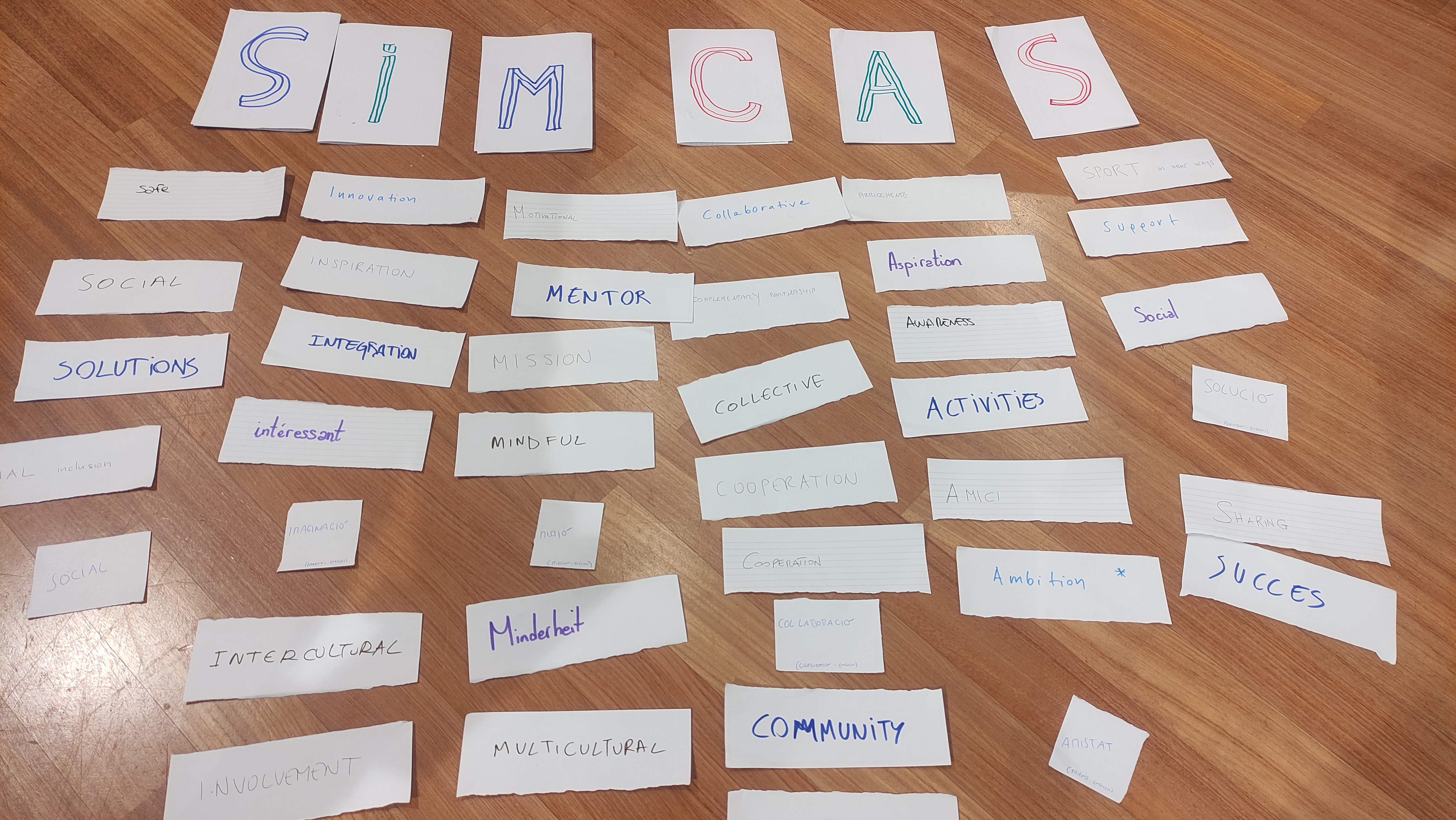 Erasmus +