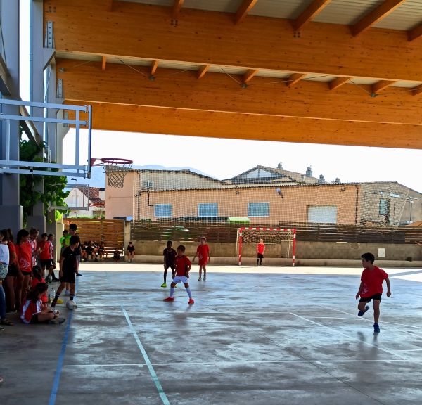 Campionat Comarcal Escolar de Futsal Fantasy 