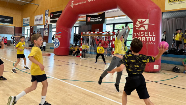 Trobada Comarcal Escolar d'Handbol